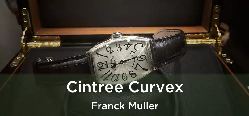  Cintree Curvex Franck Muller