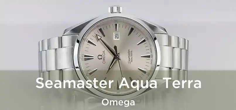  Seamaster Aqua Terra Omega