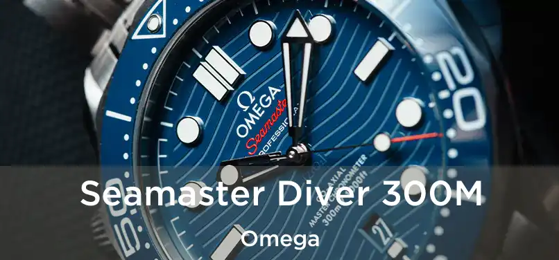  Seamaster Diver 300M Omega
