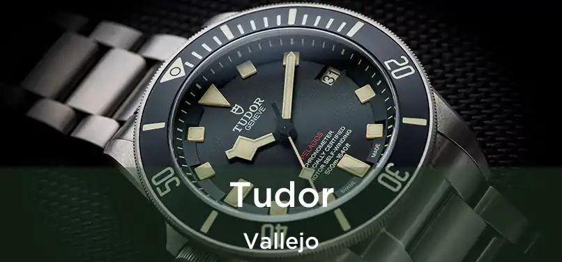  Tudor Vallejo